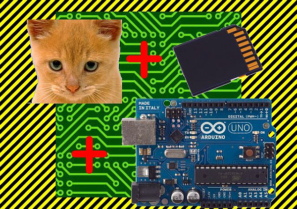 Cat Detector
