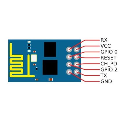 ip1